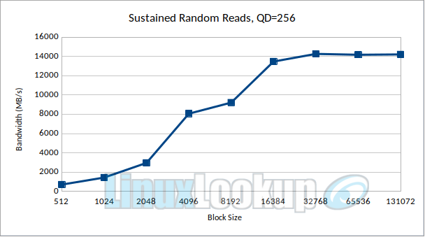 SanDisk WD_Black SN8100 2TB SSD Linux Benchmarks